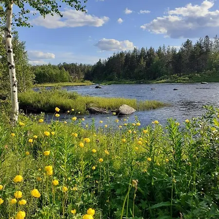 Kotimajoitukset Lapphouse Puistola